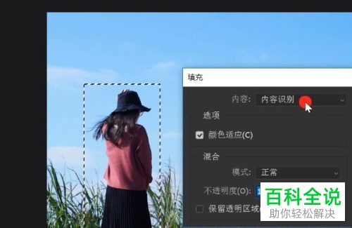 怎么使用电脑ps软件来将图片中多余的东西去除