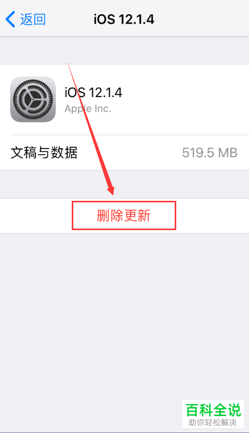 怎么删除iPhone手机系统更新文件