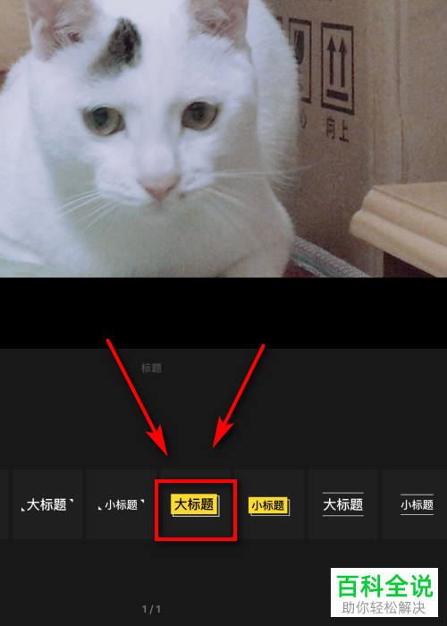 怎么设置和编辑VUE视频的页面头部标题