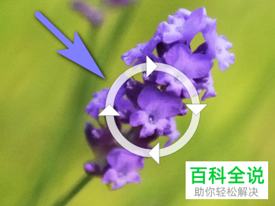 怎么设置Win10图片密码?