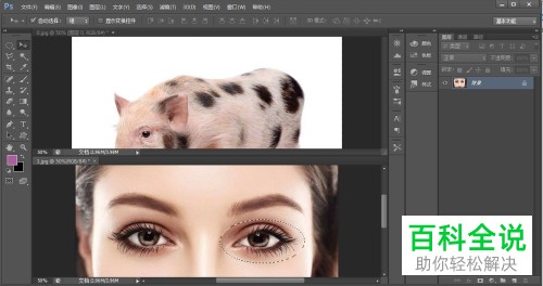 怎么使用PS中的羽化功能