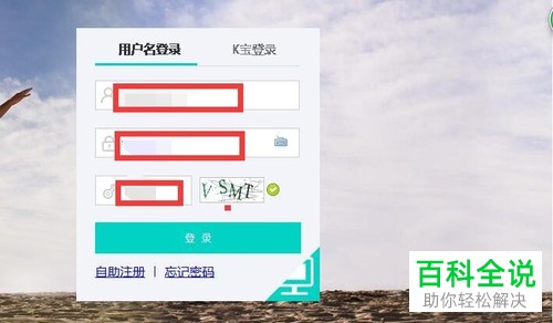 怎么使用电脑查询农业银行中的账户余额