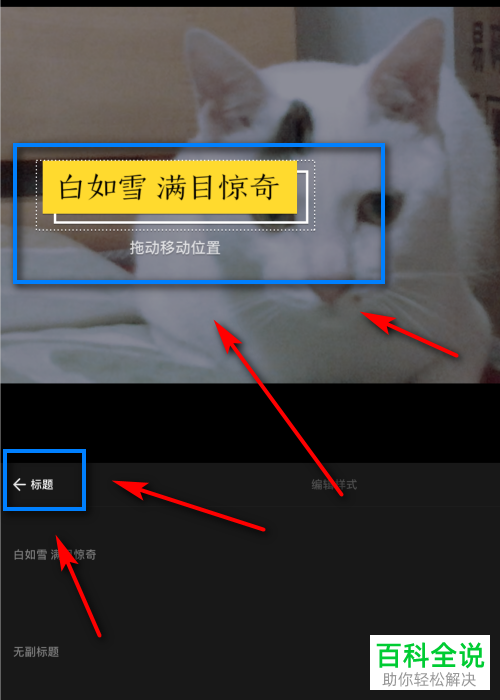 怎么设置和编辑VUE视频的页面头部标题