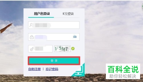 怎么使用电脑查询农业银行中的账户余额