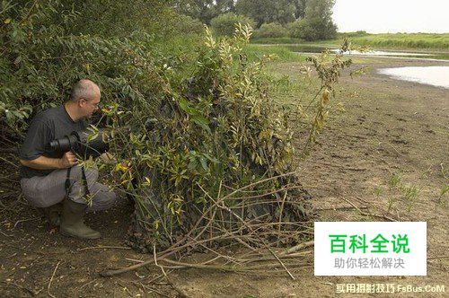 知名摄影师的自然摄影器材装备全指南