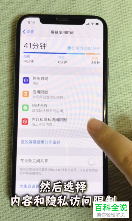 怎么设置iPhone手机不允许随意删除、安装应用