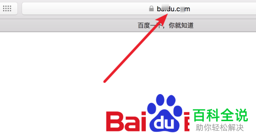 怎么设置mac电脑中的safari浏览器使其显示完整的网址