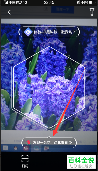 怎么使用手机支付宝中的扫一扫功能识别花名