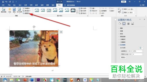 怎么使用Word文档中的重置图片功能