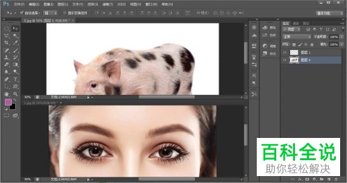 怎么使用PS中的羽化功能