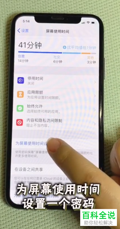 怎么设置iPhone手机不允许随意删除、安装应用