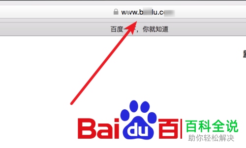 怎么设置mac电脑中的safari浏览器使其显示完整的网址