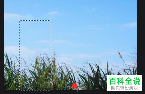 怎么使用电脑ps软件来将图片中多余的东西去除