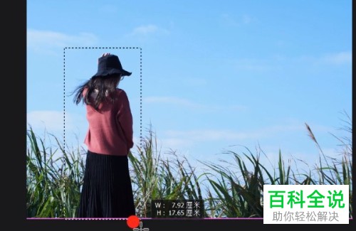 怎么使用电脑ps软件来将图片中多余的东西去除