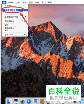 怎么使用Mac苹果电脑中的VNP