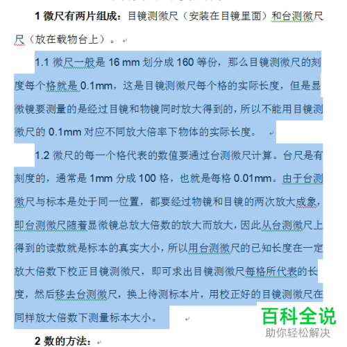 怎么设置Word文档首行缩进