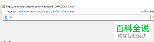 怎么使用IE浏览器将亚马逊网站上的视频下载到本地
