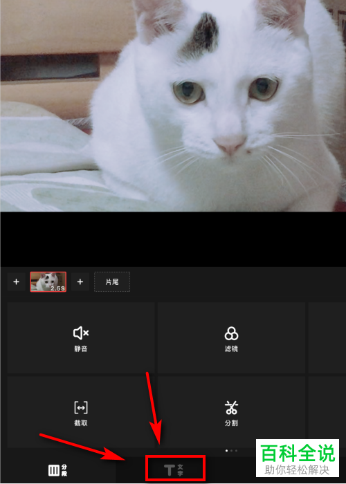怎么设置和编辑VUE视频的页面头部标题