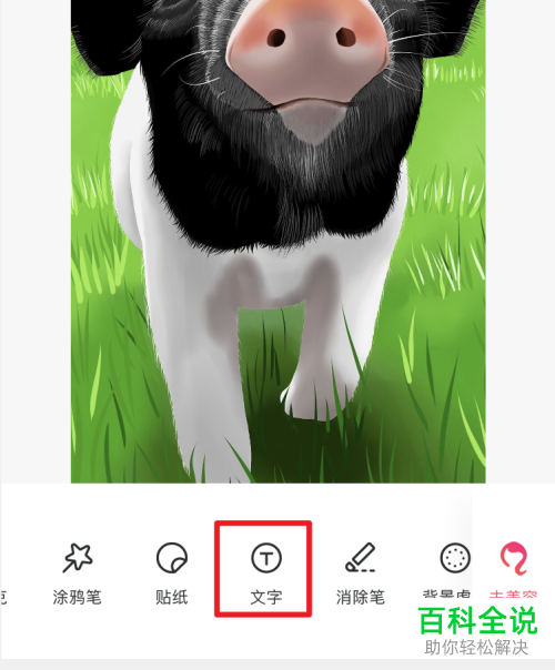 怎么使用手机美图秀秀app来为图片添加文字