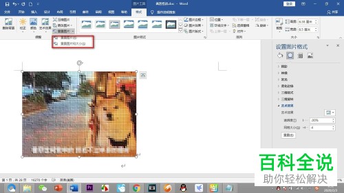 怎么使用Word文档中的重置图片功能