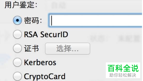 怎么使用Mac苹果电脑中的VNP