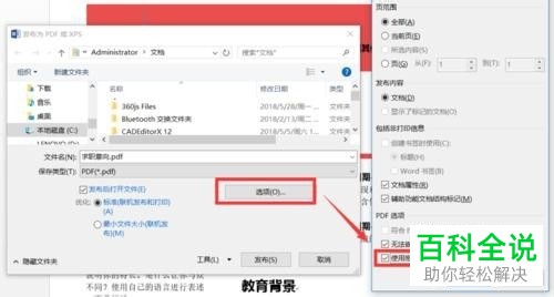 怎么设置文档的密码保护