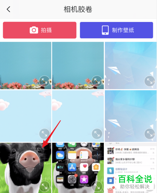 怎么使用手机美图秀秀app来为图片添加文字