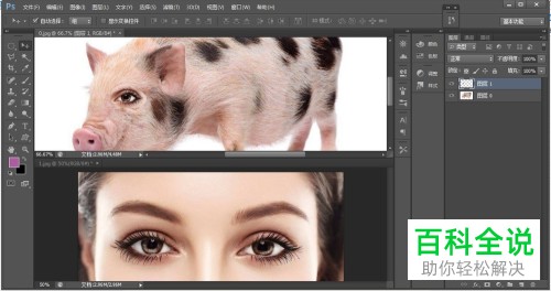 怎么使用PS中的羽化功能