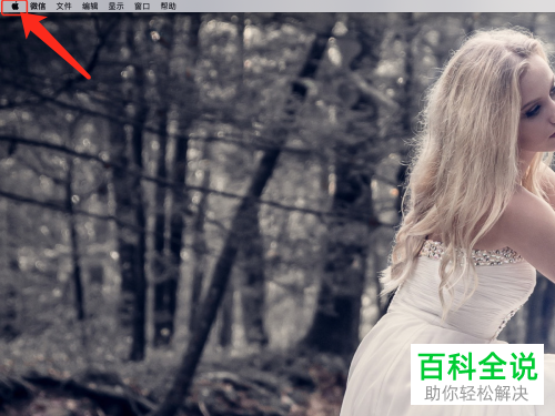 怎么删除Mac OS 苹果电脑中的系统用户