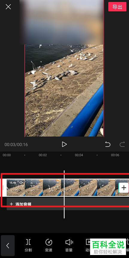 怎么使用剪映app来完成对视频片段的定格