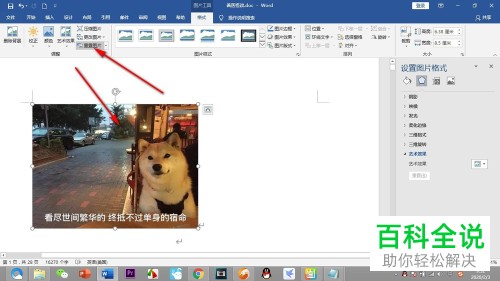怎么使用Word文档中的重置图片功能