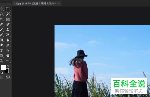 怎么使用电脑ps软件来将图片中多余的东西去除