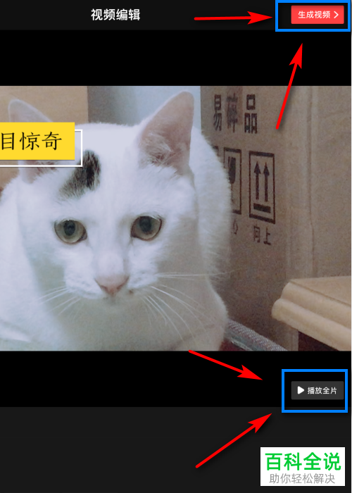 怎么设置和编辑VUE视频的页面头部标题