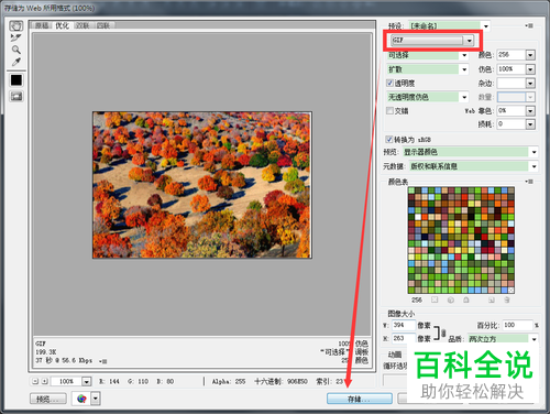 怎么通过PS制作GIF动图