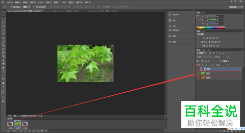 怎么通过PS制作GIF动图