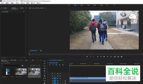 怎么通过Pr给视频指定区域添加马赛克效果