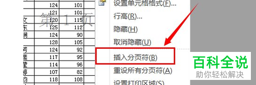 怎么添加电脑版Excel表格中的分页符