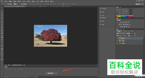 怎么通过PS制作GIF动图