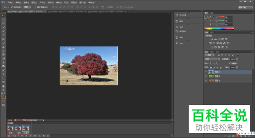 怎么通过PS制作GIF动图