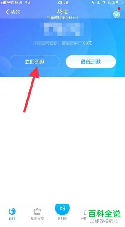 怎么提前在支付宝APP的花呗中还款