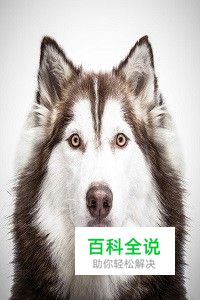 怎么修改一寸照像素、尺寸、大小