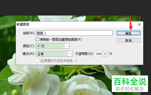 怎么新建photoshop cs5软件中的图层