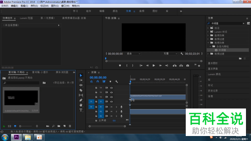 怎么用Pr软件去除视频或图片上的水印