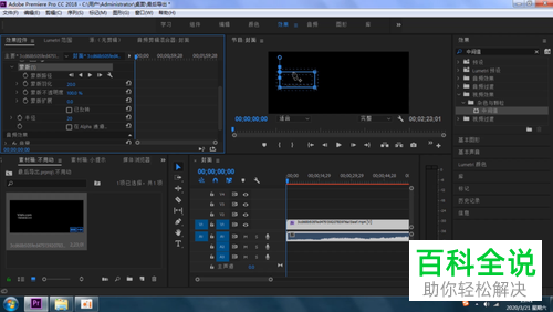 怎么用Pr软件去除视频或图片上的水印