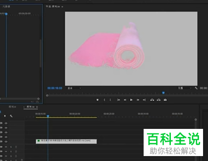 怎么一键更改电脑版PR中视频的颜色