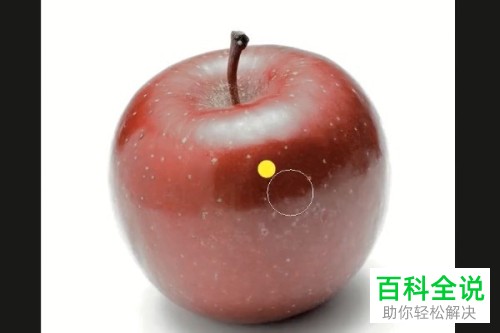 怎么用Photoshop PS中的图层蒙版功能给图片添加特效