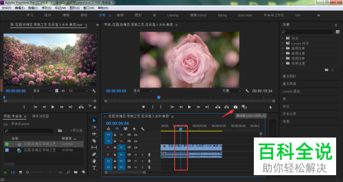 怎么用Pr截取视频中的图片