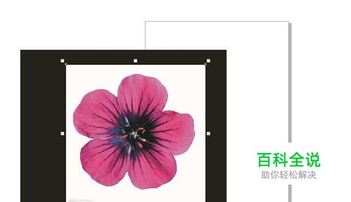 怎么用CDR快速去掉图像的白色背景？