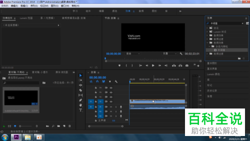 怎么用Pr软件去除视频或图片上的水印