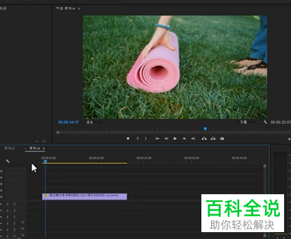 怎么一键更改电脑版PR中视频的颜色